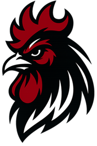 Rooster Contracting company logo